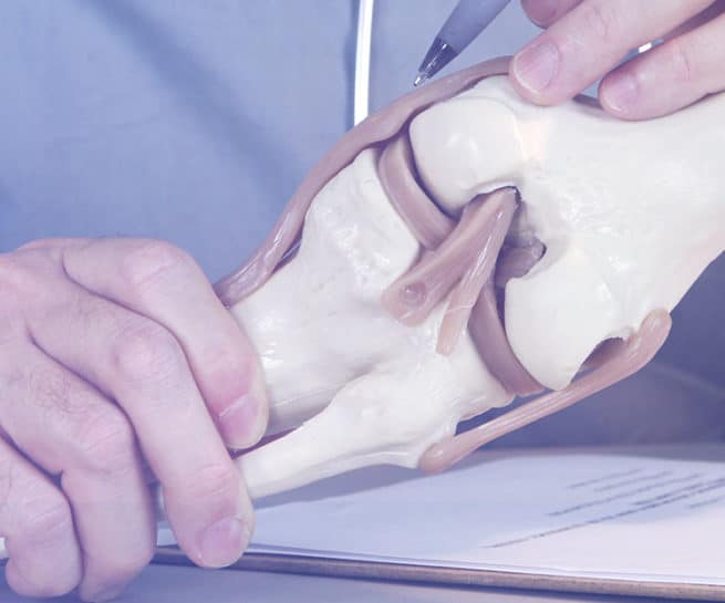 Orthopedics Services & Doctors in Brooklyn, NY